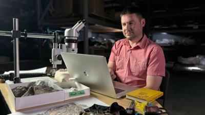 Enthüllt: Geheimnisse der Meere: Staffel 6 Folge 3 Die Geheimnisse der Dinosaurier