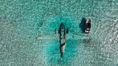 Enthüllt: Geheimnisse der Meere: Staffel 5 Folge 6 Narcos