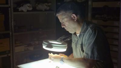 Enthüllt: Geheimnisse der Meere: Staffel 5 Folge 5 The Alamo