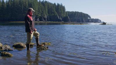 Enthüllt: Geheimnisse der Meere: Staffel 6 Folge 4 Wracks in Alaska