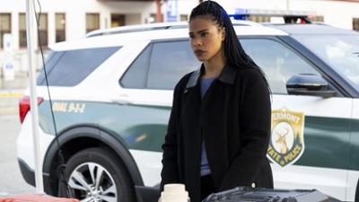 FBI: Most Wanted: Staffel 4 Folge 19 Künstliche Befruchtung