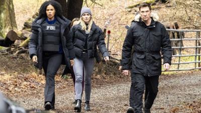 FBI: Most Wanted: Staffel 5 Folge 5 Ohne Ausweg