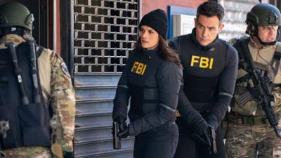 FBI: Special Crime Unit: Staffel 7 Folge 15 Katz und Maus