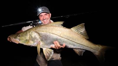 Giganten unter Wasser - Riesenfischen auf der Spur: Staffel 2 Folge 6 Showdown im Dschungel