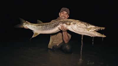 Giganten unter Wasser - Riesenfischen auf der Spur: Staffel 3 Folge 3 Zerreissprobe