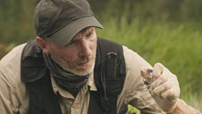 Giganten unter Wasser - Riesenfischen auf der Spur: Wilderer, Monsterschlangen, Urzeitriesen