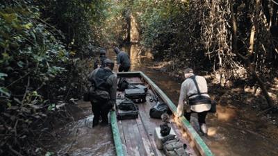 Giganten unter Wasser - Riesenfischen auf der Spur: Staffel 3 Folge 8 Dinosaurier am Ende der Welt