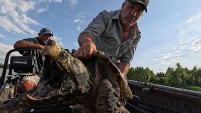 Giganten unter Wasser - Riesenfischen auf der Spur: Staffel 4 Folge 6 Urzeitmonster in Not