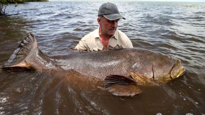 Giganten unter Wasser - Riesenfischen auf der Spur: Staffel 2 Folge 4 Bedrohtes Paradies Giganten unter Wasser - Riesenfischen auf der Spur: Staffel 2 Folge 4 Bedrohtes Paradies