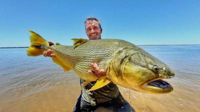 Giganten unter Wasser - Riesenfischen auf der Spur: Staffel 2 Folge 1 Swamp Beasts (1)