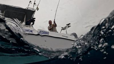 Giganten unter Wasser - Riesenfischen auf der Spur: Staffel 4 Folge 3 Hai-Alarm