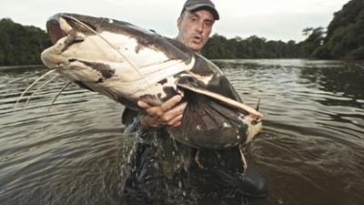 Giganten unter Wasser - Riesenfischen auf der Spur: Staffel 1 Folge 8 Das Ziel der Reise