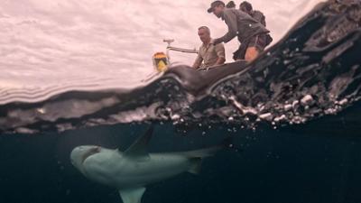 Giganten unter Wasser - Riesenfischen auf der Spur: Staffel 4 Folge 4 Im Schlaucboot auf Hai-Jagd