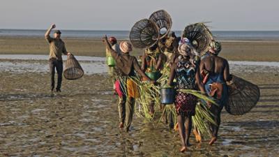 Giganten unter Wasser - Riesenfischen auf der Spur: Staffel 3 Folge 2 Hai-Noon