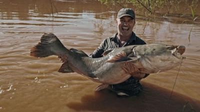 Giganten unter Wasser - Riesenfischen auf der Spur: Staffel 3 Folge 7 Genprobe, bitte!