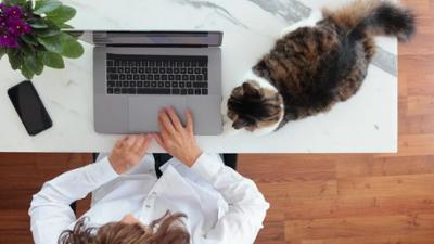 News & Trends: Rätsel geklärt: Darum liegen Katzen immer auf der Tastatur News & Trends: Rätsel geklärt: Darum liegen Katzen immer auf der Tastatur