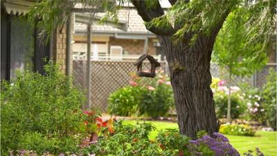 News & Trends: Diese To-Dos gibt es für den Garten im Herbst News & Trends: Diese To-Dos gibt es für den Garten im Herbst