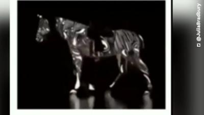 News & Trends: Optische Illusion: In welche Richtung läuft dieses Pferd? News & Trends: Optische Illusion: In welche Richtung läuft dieses Pferd?