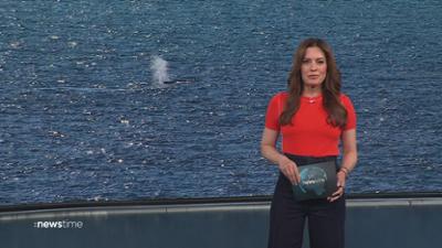 :newstime: vom 02. Mai 2026 | 16:20