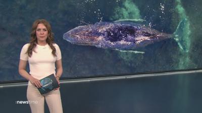 :newstime: vom 29. März 2026 | 16:05