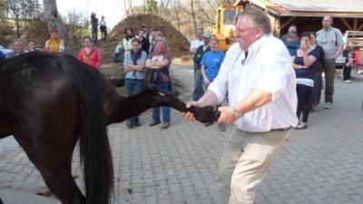 Tamme Hanken: Staffel 1 Folge 2 USA Tamme Hanken: Staffel 1 Folge 2 USA