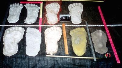 Unerklärliche Phänomene - Ancient Aliens: Die Top Ten der außergewöhnlichen Kreaturen