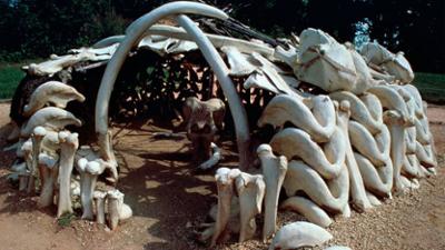 Verborgen im Eis: Geheimnisse aus der Vergangenheit: Staffel 2 Folge 8 Das letzte Rätsel der Titanic