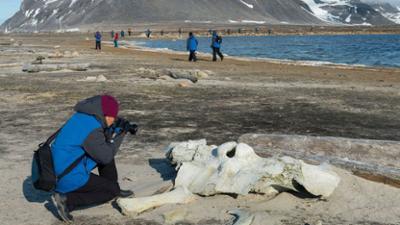 Verborgen im Eis: Geheimnisse aus der Vergangenheit: Staffel 2 Folge 7 Tragödie auf dem Mount Cook