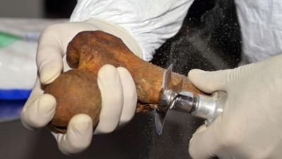 Verborgen in der Finsternis: Geheimnisse der Vergangenheit: Piratengold, Flüche und Feensärge