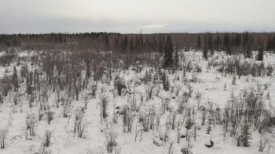 Verscharrt & vergraben - Mord verjährt nicht: Staffel 5 Folge 15 Tod im Eis