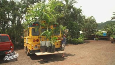 Willkommen bei den Reimanns: Konnys kuriose Palmentransport-Konstruktion 