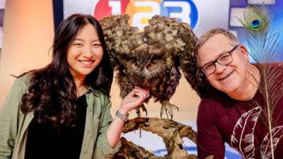 1, 2 oder 3: Fantastische Federn