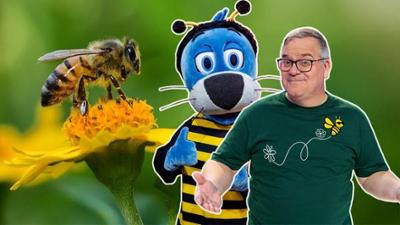 1, 2 oder 3: Bienen - Helden der Natur