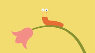 Animanimals: Nacktschnecke