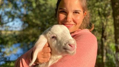 Anna auf dem Bauernhof: 4. Die Schafe im Zwergenwald