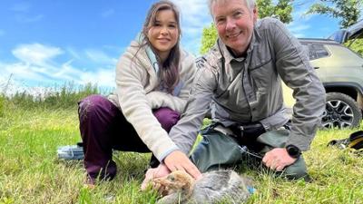 Anna im Land der tausend Seen: 1. Auf der Suche nach dem Glücksvogel