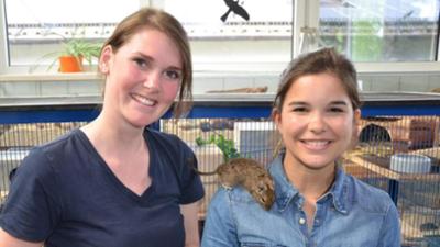 Anna, Nina, Pia und die Haustiere: Degu