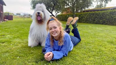 Anna, Nina, Pia und die Haustiere: Bobtail