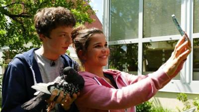 Anna, Nina, Pia und die Haustiere: Taube