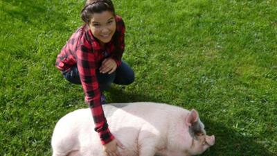 Anna, Nina, Pia und die Haustiere: Minischwein
