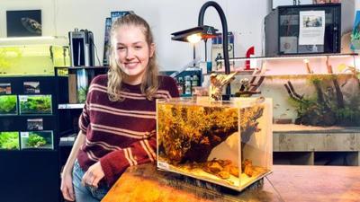 Anna, Nina, Pia und die Haustiere: Zwerggarnelen