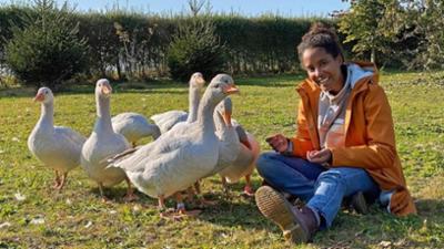 Anna, Nina, Pia und die Haustiere: Hausgans