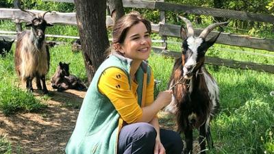 Anna und die wilde Herde: 1. Klaue drauf