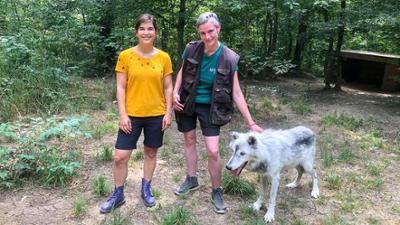 Anna und die wilde Herde: 2. Spaziergang mit dem Wolf