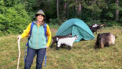 Anna und die wilde Herde: 5. Zelten mit den Ziegen