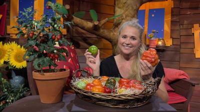 Baumhaus: Singa entdeckt Tomatensorten