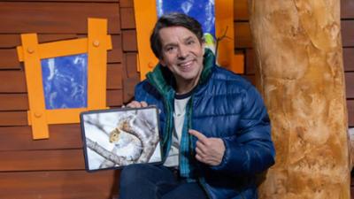 Baumhaus: Tiere im Winter