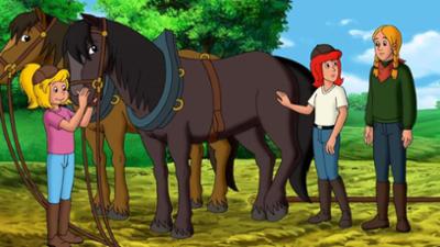 Bibi und Tina: Der Birkenhof