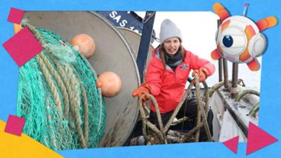 CHECK IN - Marinas Rätsel-Abenteuer: Geisterhafte Netze