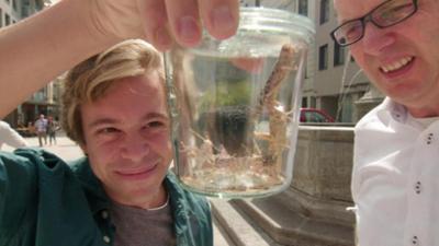 Checker Reportagen: Der Ekel-Check